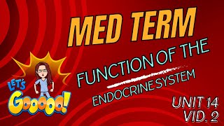 Endocrine System Functions Explained  Medical Terminology Unit 14  Hormones and Organs [upl. by Cuyler]