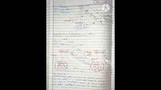 Cyclicampnoncyclic reaction light phosphorylation photosynthesisinhigherplants botanynotes pwnotes [upl. by Clift]