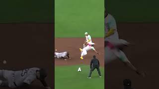 MLB  Funny Moments in Baseball baseball MLB Beisbol [upl. by Formenti]