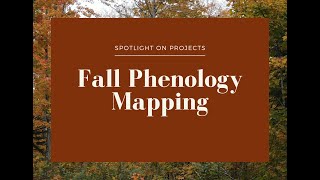 Spotlight on Projects Fall Phenology Mapping [upl. by Tema580]