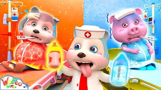 Mommy Got a Hot Or Cold Baby Boo Boo Pregnant Song  Baby Song amp Nursery Rhymes  Wolfoo Kids Songs [upl. by Aiuqet]