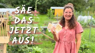 28 Gemüse die du im JULI aussäen solltest 🥕 [upl. by Aisila]