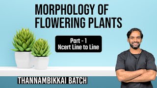 Morphology of Flowering Plants  Part 1  NCERT Line to Line  Thannambikkai Batch [upl. by Annawat449]