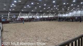 South Devon Show [upl. by Blondelle]