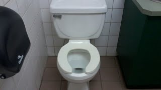 Rare Vitromex Toilet in Canada [upl. by Svirad]