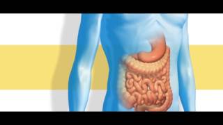 The Science Behind a Crohns Disease Treatment [upl. by Anna]