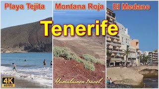 Tenerife walking tour from Playa de la Tejita to El Medano 4 k [upl. by Eiznikam736]