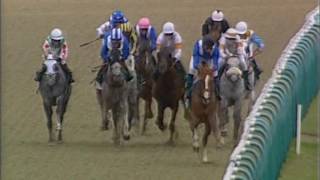 Lingfield Park 10th September 2016 Arabian Race [upl. by Brasca]