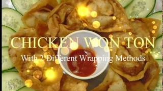 Chicken Wonton Recipe  Chinese Fried Wontons Recipe [upl. by Esyla248]