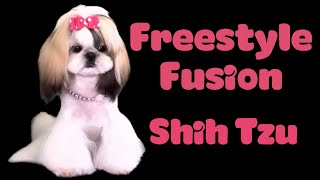 Freestyle Fusion SHIH TZU Haircut [upl. by Ardekal]