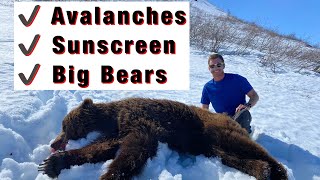 S21Ep12 DIY Alaska Spring Brown Bear Hunt via Supercub [upl. by Gnak39]