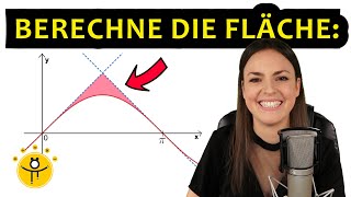 Mathe ABITUR Analysis – Aufgabe Integralrechnung [upl. by Giacomo]