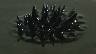 Magnetic Liquid [upl. by Micah]