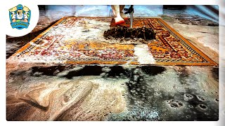 carpet cleaning videos  cleaning rugs satisfying compilation 01 [upl. by Aleicarg]