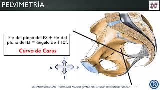 Móvil fetal pelvis y mecanismo de trabajo de parto  ROLLAN  2022 [upl. by Gnehc]