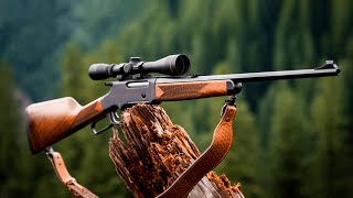 Most Accurate 22 Rifles You Should Buy in 2024 [upl. by Aihsas43]