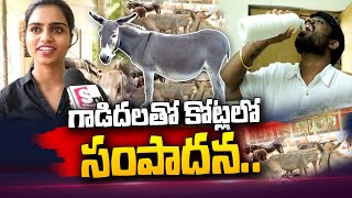 గాడిదలతో కోట్లలో వ్యాపారం Akshaya Donkey Farms  Godavari Ditrict  Donkey Milk Business [upl. by Dnalyk743]