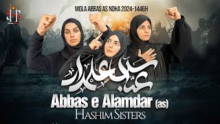 Nohay 2024  ABBAS E ALAMDAR  Hashim Sisters  Mola Abbas Noha 2024  Muharram Nohay 20241446 [upl. by Noned]