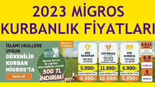 2023 Migros Kurbanlık Fiyatları [upl. by Hufnagel]