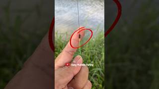 BEST FISHING KNOT BRAID TO FLOUROCARBON fishing fishingknot knottutorial [upl. by Kehsihba]