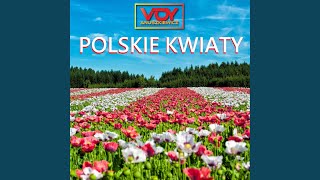 Polskie Kwiaty [upl. by Bazil670]