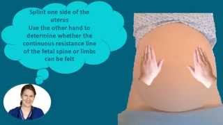 Abdominal Palpation Tutorial for Student Midwives [upl. by Adyht]