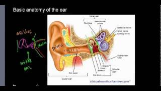 lecture 22 part 1 Basic anatomy of ear ossicles choclea [upl. by Alekal473]