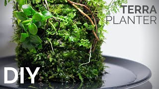 DIY Terra Planter anyone can build [upl. by Uv]