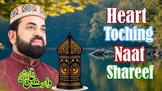 waris Ali Chishti  Heart Touching Naat  New Naat Shareef 2024  shortclip [upl. by Arrakat]