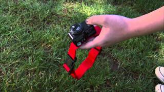 How to Install a PetSafe® Wireless Dog Fence [upl. by Atnas652]