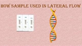 SAMPLE PADRapid test Reservoir for sampleTechnical Description about its process amp treatment [upl. by Frierson]