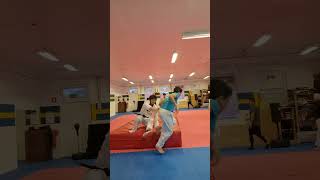 Kul träning I Champion taekwondo klubb [upl. by Teodorico412]