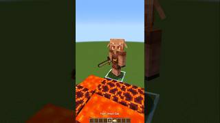 Piglin IQ Test in Minecraft😱 もういいよ [upl. by Atram664]