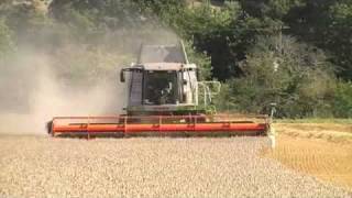 Claas Lexion 580 Harvesting Wheat [upl. by Riva655]