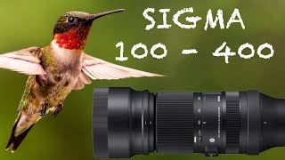 SIGMA 100  400 SONY E MOUNT IN 2023  Review [upl. by Ahsrat]