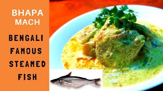 Fish Curry Recipe steam  without steamerBhapa Sorse bata Mach recipeBengali style – SPS Recipes [upl. by Bonny]