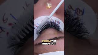 Seal your clients lashes eyelashextensions eyelash lash [upl. by Supple]