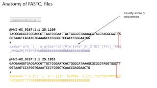 Importing and demultiplexing [upl. by Legir]