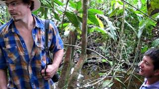 Chevron Texaco Oil Contamination of Amazon Rainforest Water [upl. by Garnett]