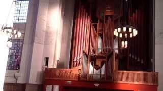 Psalm 68 on Flentrop pipe organ St Marks Cathedral [upl. by Naldo119]