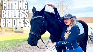 Understanding Bitless BridlesConnect With Your Horse On Another Level [upl. by Coraline]