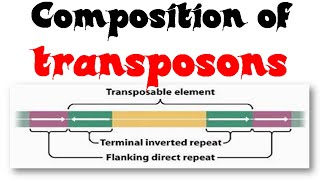 Composition of transposons [upl. by Neit]