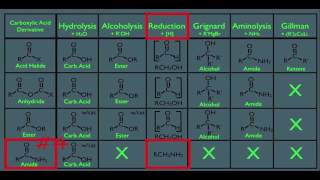 Reactions of Amides [upl. by Aihsenet]