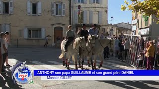 Mouriès 2 novembre 2024 Abrivado avec la manade GILLET qui fête ses 50 ans [upl. by Yrem]