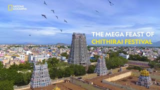 The Mega Feast of Chithirai Festival  India’s Mega Festivals  Full Episode  National Geographic [upl. by Fabrienne]