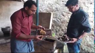 Stingless Bees Meliponiculture ചെറുതേനിച്ചവളർത്തൽ Honey Bee [upl. by Eggett305]