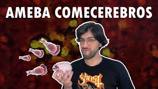 Naegleria Fowleri La AMEBA que DESTRUYE el CEREBRO [upl. by Jael]