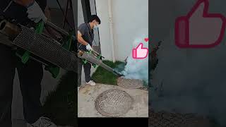 Eliminating Mosquitoes Hiding in Sewers in Summer [upl. by Soelch]