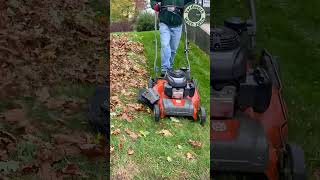 My Lawn Mower Makes a Decent Leaf Blower [upl. by Naesar376]