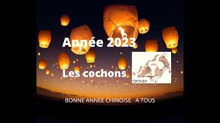 🐷 Cochon sangliers signe astrologique chinois pour lannée 2023🐷 [upl. by Imoian]